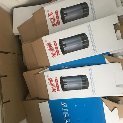 닛산 RH8 RH10 오토바이 실린더 강선을 위한 까만 엔진 실린더 강선